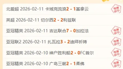 胸怀报国志，专注发展路，恪守法纪，富而谋共富的成语阐释